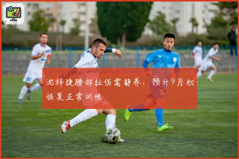 沈梓捷腰部拉伤需静养，预计9月初恢复正常训练
