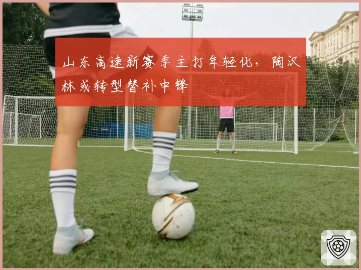 山东高速新赛季主打年轻化，陶汉林或转型替补中锋
