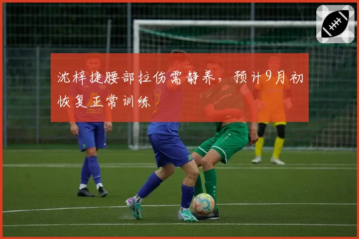 沈梓捷腰部拉伤需静养，预计9月初恢复正常训练